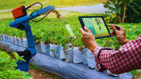 Agriculture and Food Systems: The Role of AI and Digitalization ...